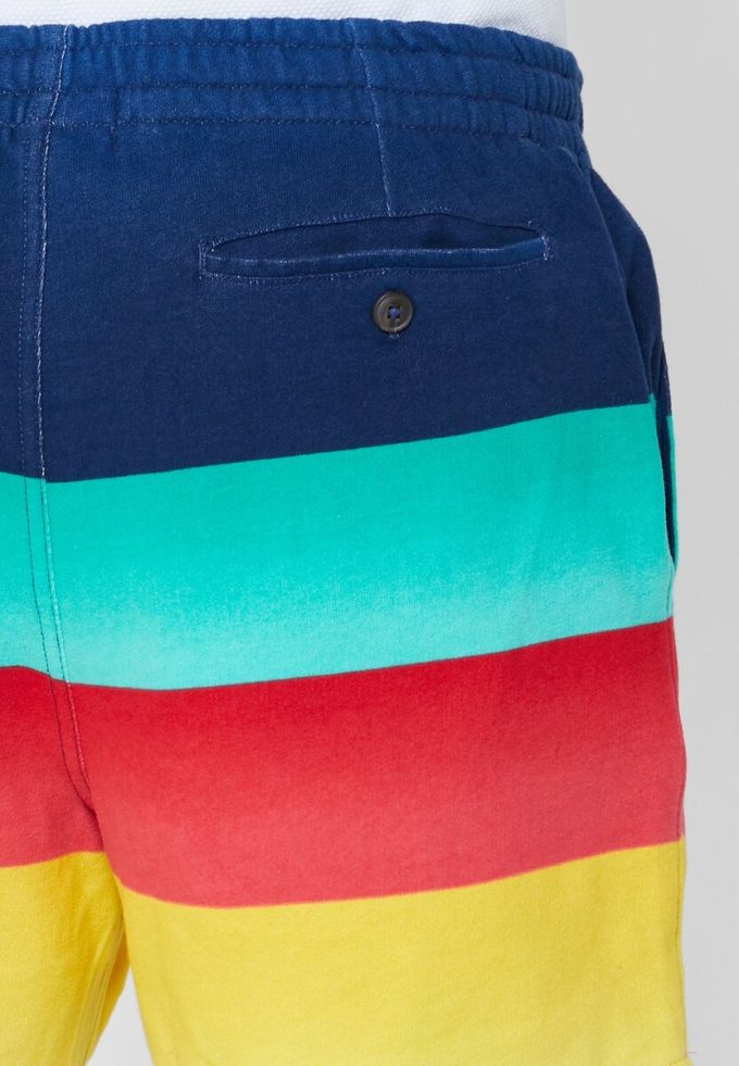Multicolor Men’s Ralph Lauren Color Block Shorts